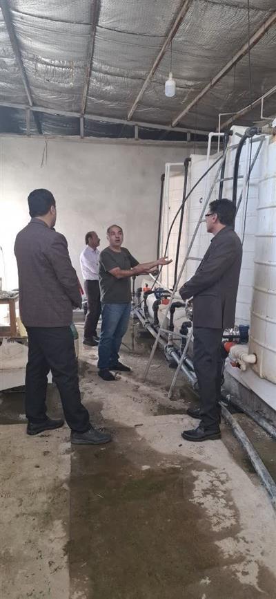 بازدید از گلخانه لیلیوم با كاربرد فناوری تزریق گاز اوزون جهت ضدعفونی