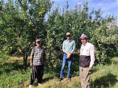 بازدید محققین معین از باغات روستای خان‌آباد