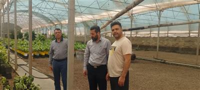 بازدید محققین معین از گلخانه