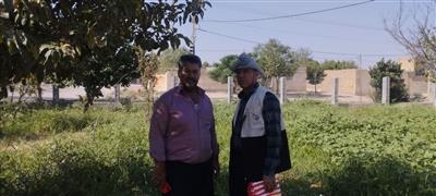 بازدید از باغات مزور و ارائه توصیه‌های لازم برای كنترل كنه تارتن توسط محقق پژوهشكده گل و گیاهان زینتی